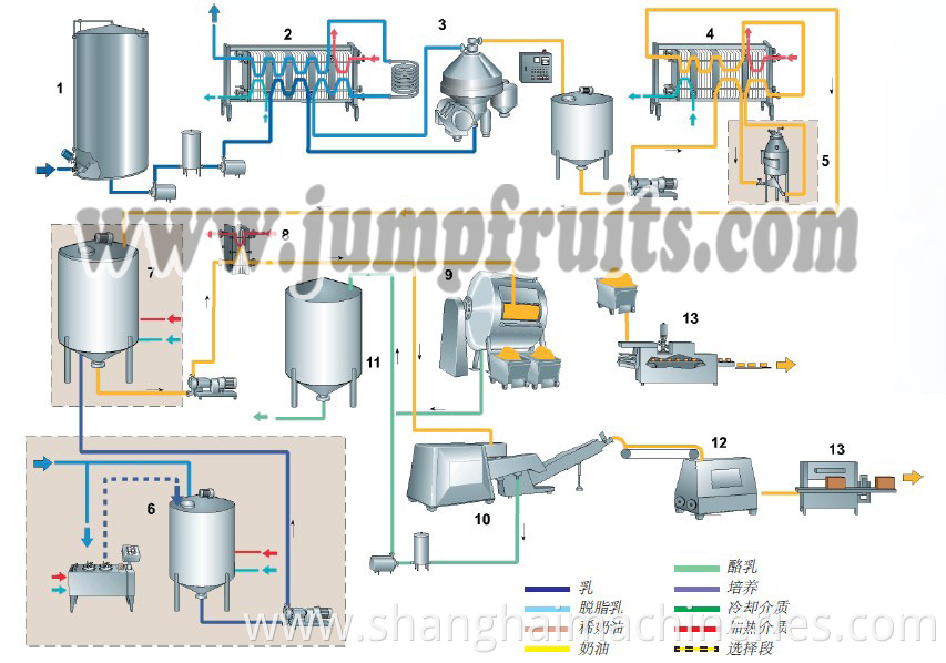 Cheese Processing Machine Plant Price Negotiable